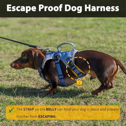 Huntboo Escape Proof Dog Harness, Dachshund Harness, Reflective Dog Harness with Handle, Durable,Adjustable Vest for Small Medium Large Dogs Walking, Training, and Running Gear (Technicolor Blue,XL) - Image 2