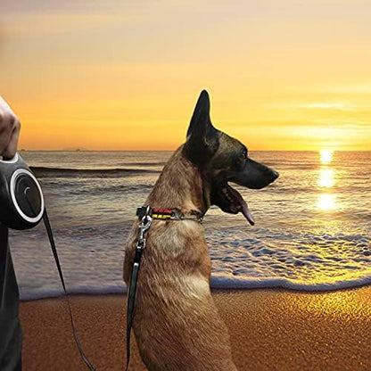 26Ft Retractable Dog Leash, Heavy Duty Great Leash for Dog up to 110 lbs, Anti-Slip Rubberized Handle, One-Handed Brake, Strong Nylon Tape, Tangle Free(Large Size). - Image 6