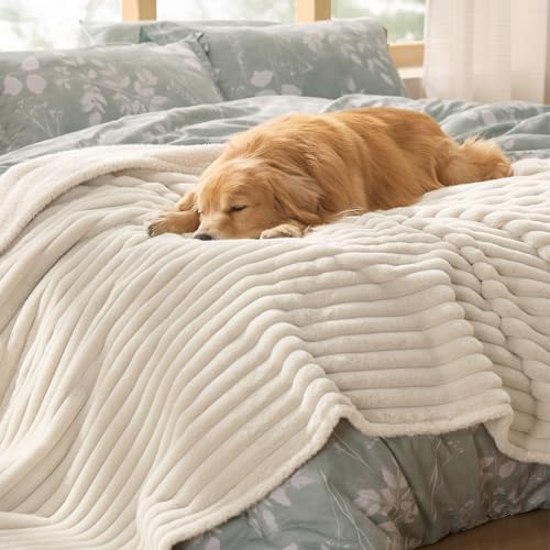 Bedsure ComfyFleece™ Waterproof Blanket for Bed, Twin（60"x80"） Cream by BEDSURE