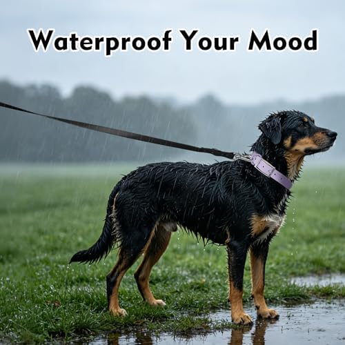 Wisedog Waterproof Dog Leash, Black, 6 ft × 3/4 in - Image 6
