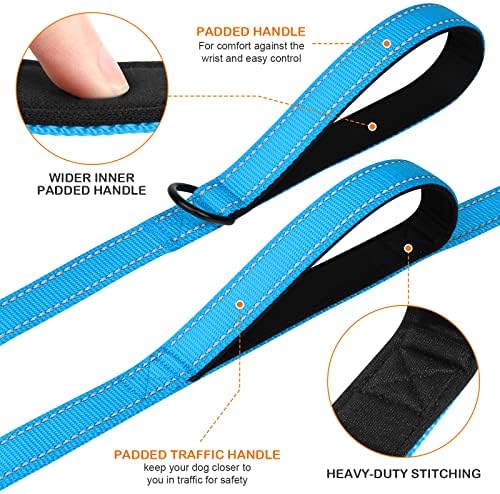 Joytale Dog Leash for Large Dogs that Pull, Double Handle, 6FT, Aqua Blue - Image 2