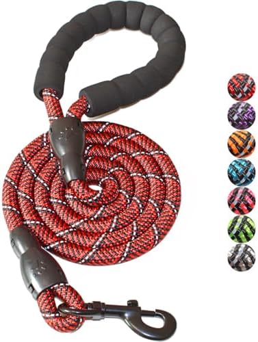 BAAPET 2/4/5/6 FT Dog Leash with Comfortable Padded Handle and Highly Reflective Threads for Small Medium and Large Dogs (5FT-1/2'', Black Red) by BAAPET
