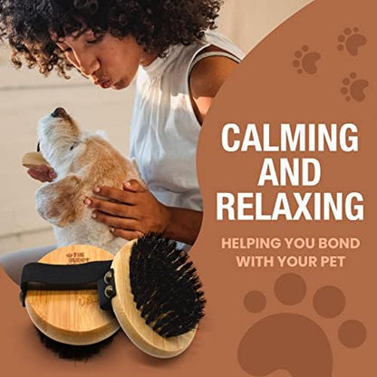 The Buddy System - Pet Close Brush, Oval Palm Brush with Boar Bristles - Image 5