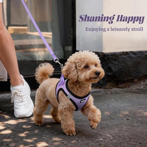 No Pull Dog Puppy Harness and Leash Set Reflective Mesh Vest XX-Small - Image 6
