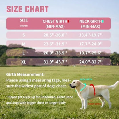 AUROTH Dog Harness and Leash Set Small Sized Dog, No Pull Escape Proof Vest - Image 6
