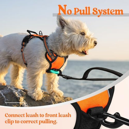 rabbitgoo Dog Harness No Pull with 2 Leash Clips, Adjustable Soft Padded, Reflective Oxford No Choke Pet Vest with Easy Control Handle for Puppy, Orange,XS - Image 5