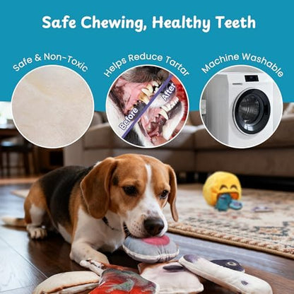 Nocciola Plush Squeaky Dog Toys – 12 Pack Small Dog Chew Toys with Squeakers, Soft Stuffed Puppy Toys with Carry Bag for Small & Medium Dogs - Image 4