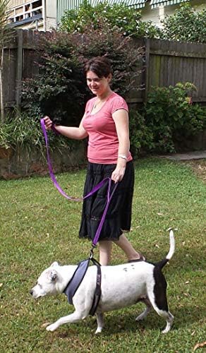 Primal Pet Gear Dog Leash 6ft Long,Traffic Padded Two Handle,Heavy Duty,Reflective Double Handles Lead for Control Safety Training,Leashes for Large Dogs or Medium Dogs,Dual Handles Leads(Purple) - Image 3