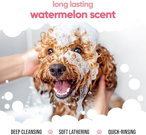 Watermelon Dog Shampoo by Buddycare | with Aloe Vera and Pro Vitamin B5 (50.72oz) - Image 4