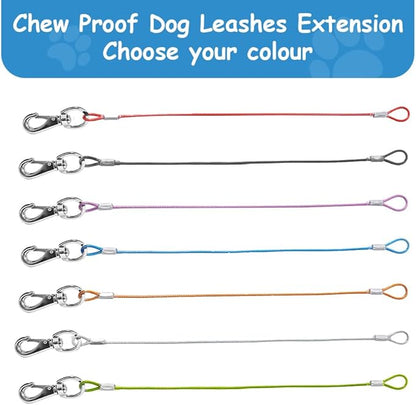 Chew Proof Dog Leash - 2Pack Metal Cable Lead,No Tangle Multiple Dog Leashes for Small and Medium Dogs- Heavy Duty Leash Extender for Collars & Harnesses(Black+Blue, 20in/50cm)