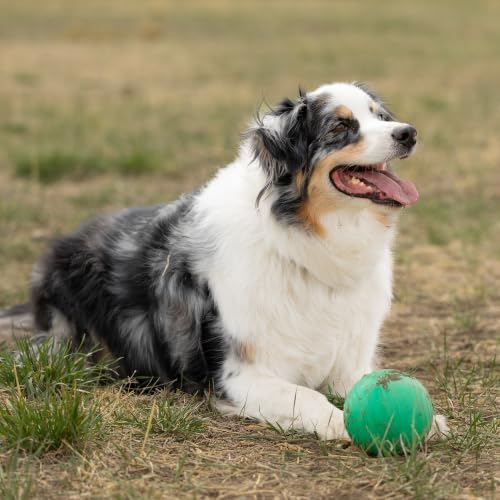 PetKORE: KoreFlex Ball - 4.75" Large, Green, Dog Toy, Shape Maintaining Rubber, Treat Stuffing Center, Bounce-Fetch-Chew, Pet Indoor-Outdoor Play - Image 3