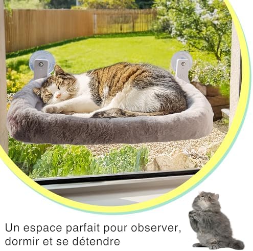 Cat Window Perch with Washable Cushion & Strong Suction – Stable & Cozy Cat Hammock for Window (Holds up to 40 lbs) – Durable Window Bed for Indoor Cats - Image 6