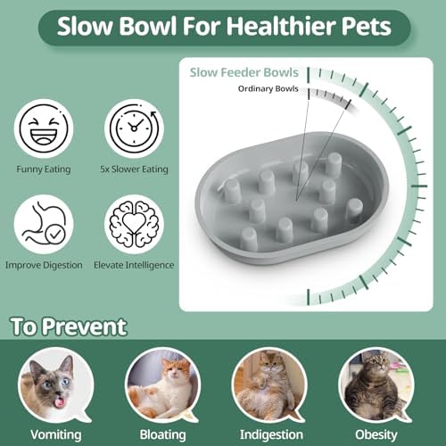 Slow Feeder Bowl for Automatic Microchip Cat Pet Feeder, Helps Prevent Bloat & Improve Digestion, Easy to Clean, Slow Feeder Bowls & Mat - Image 3