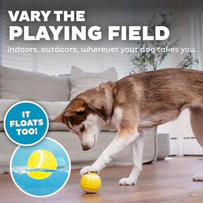 Outward Hound by Planet Dog Sport Ballz Tennis Ball Treat-Dispensing Fetch Ball Dog Toy - Image 6