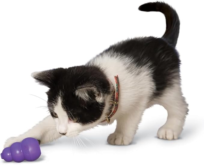 KONG Kitty Classic Cat Toys – 2 Pack – Fillable Treat-Dispensing Toy for Cats – Bounces & Rolls for Interactive Play – Encourages Healthy Exercise & Mental Stimulation