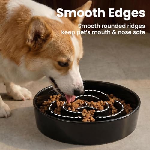 Ceramic Slow Feeder Dog Bowls 0.6 Cups for Small Fast Eaters,White - Image 5