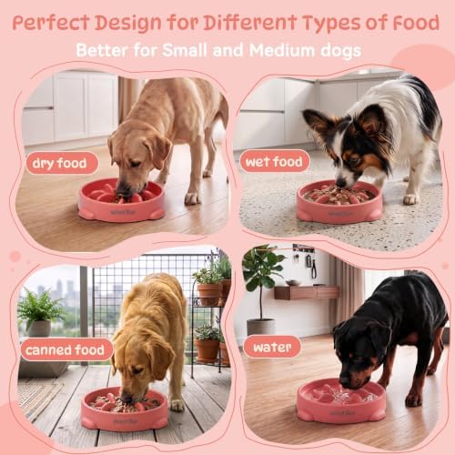 WinTour Slow Feeder Dog Bowls for Small Medium Pets, Round PP Dish, 1 Pack - Image 4