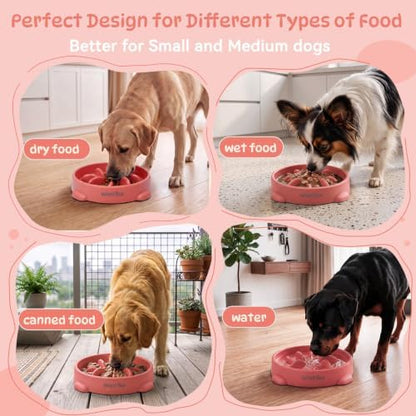 WinTour Slow Feeder Dog Bowls for Small Medium Pets, Round PP Dish, 1 Pack - Image 4