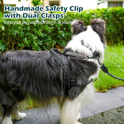 PetBonus Dog Collar Safety Clip, Handmade Prong Collar to Harness Connector - Image 4