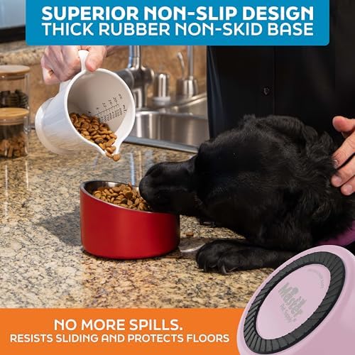 Master Pet Supply Stainless Steel Slanted Dog Cat Food Bowl 16 oz Rose - Image 5