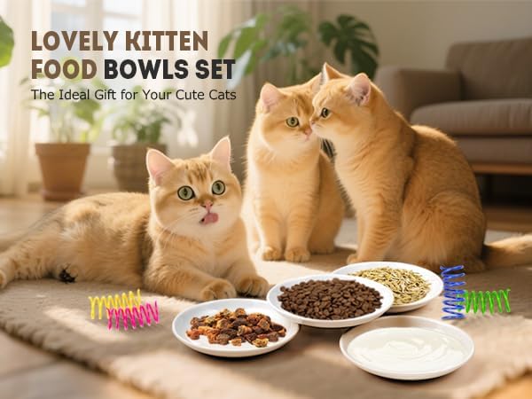 Cat Food Bowl, 8PCS Ceramic Cat Dishes for Food, Non-Slip Kitten Bowls Set - Image 7
