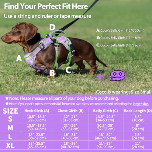Huntboo Escape Proof Dog Harness, Dachshund Harness, Reflective Dog Harness with Handle, Durable,Adjustable Vest for Small Medium Large Dogs Walking, Training, and Running Gear (Lavender Purple,XL) - Image 6