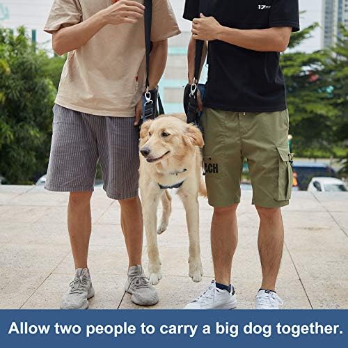 COODEO Dog Carry Sling, Emergency Backpack Pet Legs Support & Rehabilitation Dog Lift Harness for Nail Trimming, Dog Carrier for Senior Dogs Joint Injuries, Arthritis, Up and Down Stairs (M, Blue) - Image 5