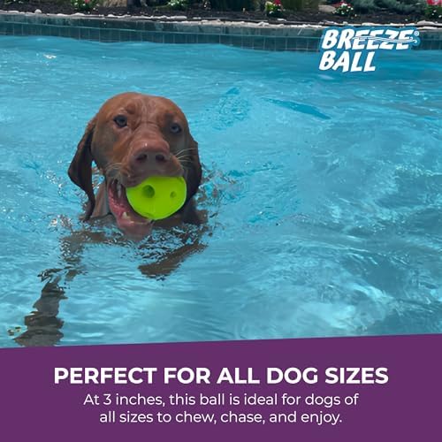 Multipet Breeze Balls for Dog - Bevel Tech Interactive Dog Toy w/Holes for Breathing - Flotable Ball for Dogs - Pet Toy for Chewing & Playing (1 Count, 3”, Random Color Surprise) - Image 7