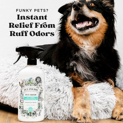 Pet-Pourri Air+Fabric Pet Odor Deodorizer Spray, Pawsitively Fresh 16 Fl Oz - Image 3