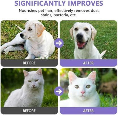 Pet Wipes, Alcohol-Free, Fragrance-Free, Hypoallergenic, for Cleaning and Grooming Dogs and Cats Paws, Face and Hips (80 Wipes) - Image 4