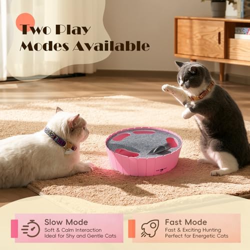 Pawaboo Interactive Cat Toy with Running Mouse, Automatic Track Kitten Toy - Image 4
