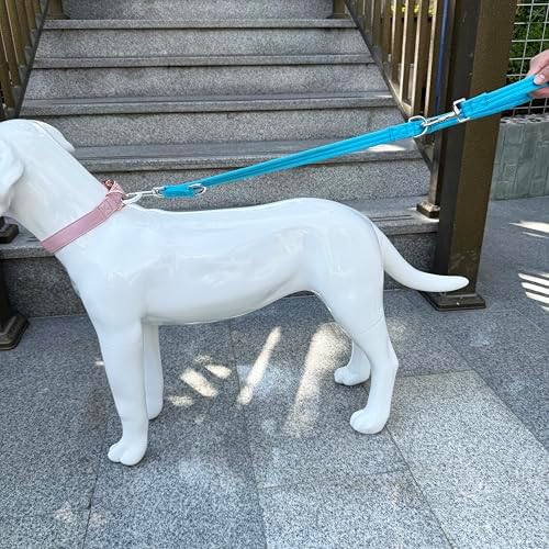 Double Ended Dog Leash,for Obedience Training Easy to Use,Lightweight,Soft for Large and Medium Dogs (Blue, 1M*2.5CM) - Image 4