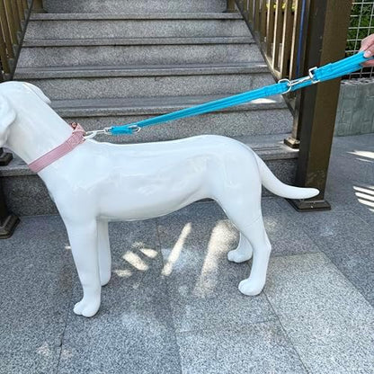 Double Ended Dog Leash,for Obedience Training Easy to Use,Lightweight,Soft for Large and Medium Dogs (Blue, 1M*2.5CM) - Image 4