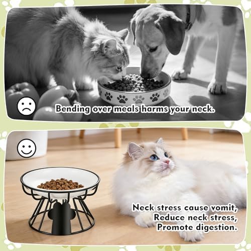 Shallow Cat Dishes with Metal Stand,Elevated Cat Bowl,Ceramic Cat Bowls,Raised Cat Food Bowls,Pet Feeder for Indoor Cats,Kitten and Small Dogs, Dishwasher Safe - Image 4