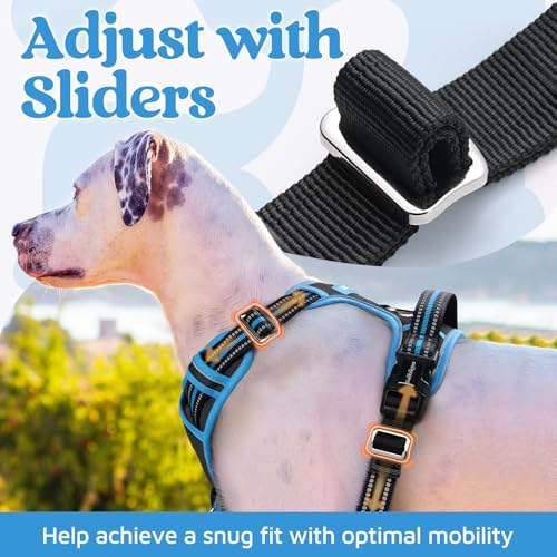 rabbitgoo Dog Harness Small Sized, No Pull 3 Buckles Easy On & Off - Image 5