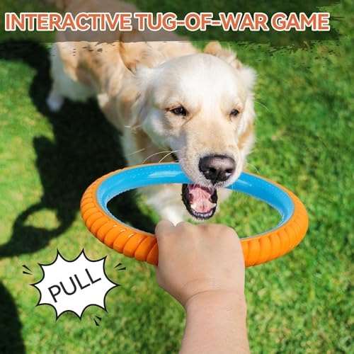 ALL FOR PAWS 10.8" Durable Dog Ring Toy, Interactive Dog Toy for Fetch & Tug of War, Chew-Resistant Rubber Toy for Medium to Large Dogs, Outdoor Toy for Training & Exercise - Image 5