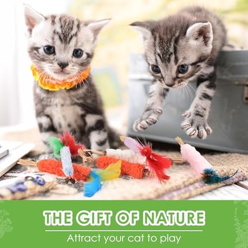 TINDTOP Cat Chew Toys, 6 Pack Silvervine Catnip Sticks for Kittens - Image 6