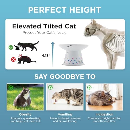 Necoichi Ceramic Raised Cat Food Bowl (Colorful Dots, Large Extra Wide) - Image 6
