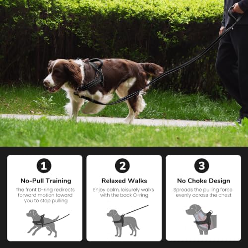 Didog No Pull Dog Harness for Small Dogs, Soft Flannel Padded, Black, S - Image 4