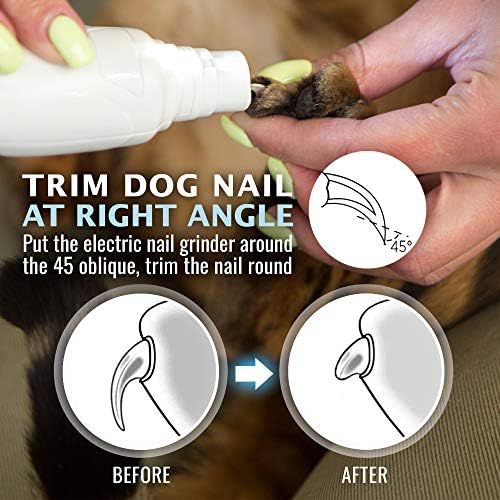 REXIPETS Cat and Dog Nail Grinder - Rechargeable Electric Pet Nail Clipper & Trimmer- Painless Paws Grooming - Quiet 2-Speed Motor. 3 Size Ports for Small, Medium, Large Pets- Up to 4 Hours of Charge - Image 3
