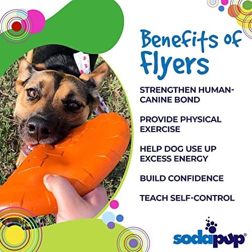 SodaPup Bottle Top – Durable Flyer Retrieving Toy Made in USA from Non-Toxic, Pet-Safe, Food Safe Natural Rubber for Bonding, Physical Exercise, Building Confidence, Teaching Self-Control, & More - Image 4