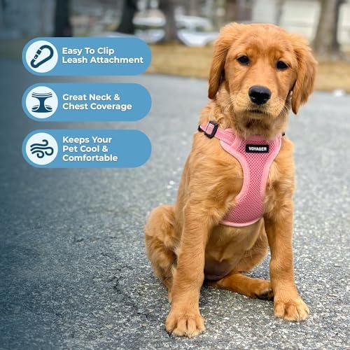 Best Pet Supplies Voyager Adjustable Step-in Flex Breathable Mesh Dog Harness for Small Medium Large Dogs Leash Set (Pink), M - Image 5