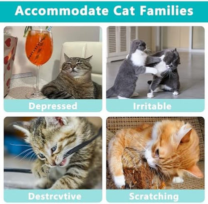 MMaiiu 5pcs Catnip Toys, Funny cat Toy, bite Resistant cat Toys - Image 5