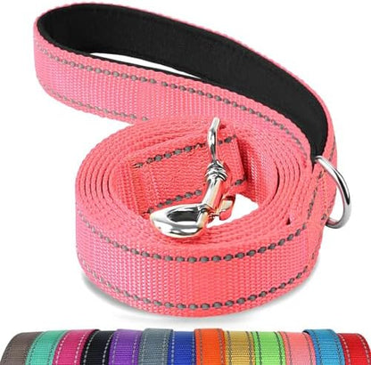 Joytale Reflective Dog Leash for Small Dogs, 6 FT x 3/4", Neon Pink by Joytale