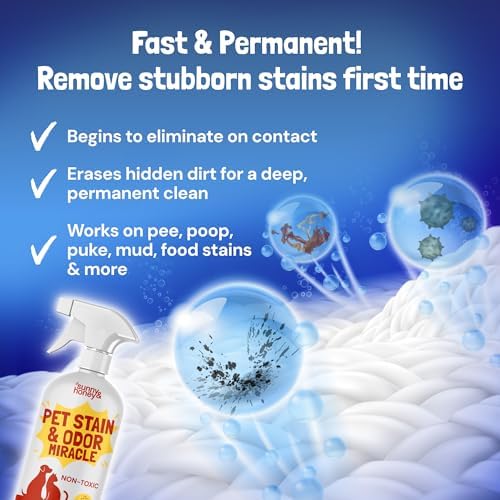 Sunny & Honey Pet Stain and Odor Remover Spray for Carpets, 32floz Spice - Image 3