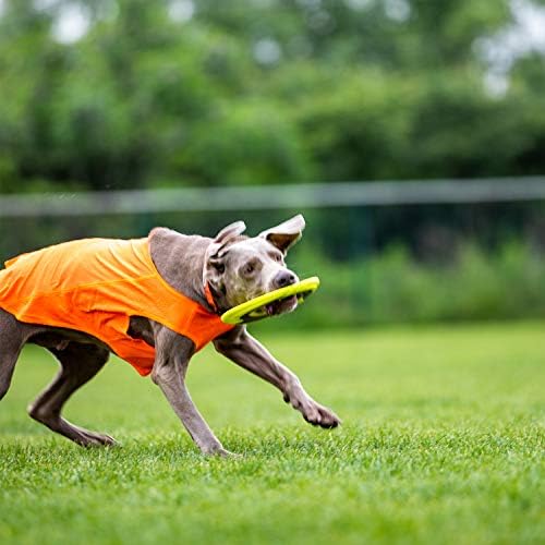 SKIPDAWG Dog Flying Disc Tug Toys 2 Pack, Light Fetch Toy for Outdoor Play - Image 6