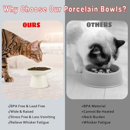 Extra Wide 6.1" Raised Cat Food Bowl, Shallow Ceramic Elevated Cat Feeder, Anti Vomiting, Stress Free, Whisker Fatigue, Pet Food or Water Bowl, White - Image 6