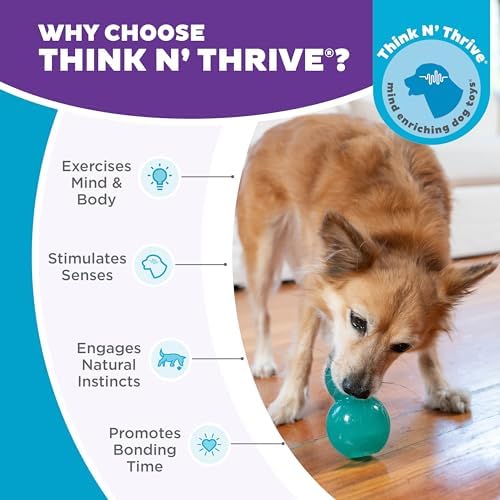 Outward Hound Double-Tuff Stuffable Dog Toy, Medium Blue, 3.9" x 2.5" – Treat Dispensing Chew Ball for Small to Medium Dogs, Interactive Puzzle Toy for Enrichment & Slow Feeding - Image 6