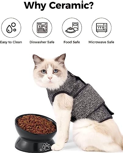 LoeJan Elevated Cat Food Bowl, 5 Oz Ceramic Raised and Tilted Water Bowl, Anti Vomiting and Protect Pets' Spines Dishes for Small Dog, Fat Faced Cat, Kitten (Black Pattern, 1 Pack) - Image 4