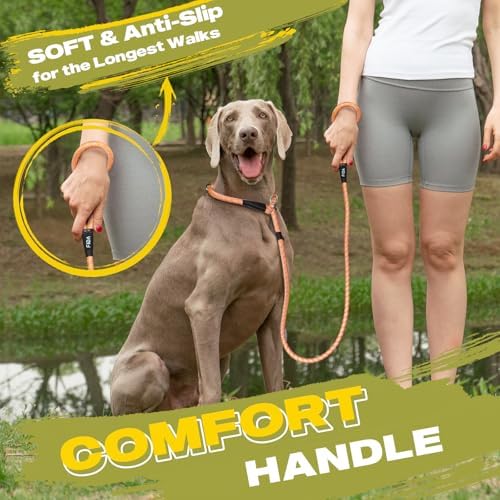 Fida Durable Slip Lead Dog Leash, 4 FT x 1/2" Dog Training Leash, Orange - Image 6